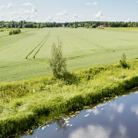 Oats 2.0 programme takes farming to the next level while caring for nature