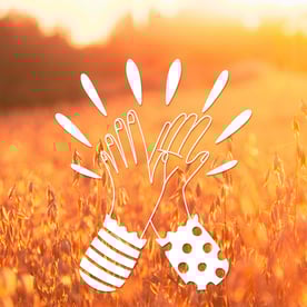 Helsinki Mills places 19th in the Sustainable Brand Index 2023