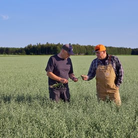 Vuoden 2023 vastuullisuusraportti kokoaa vastuullisuusteot yksiin kansiin