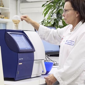 Myllärin Pizzajauho 00:n valmistus – näin me sen teemme!