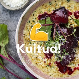 Kuitu kuuluu kaikille