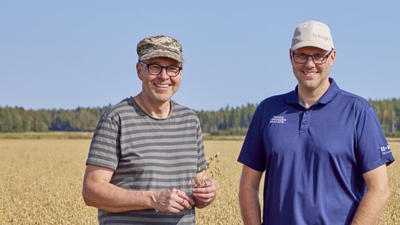 Heritage farm began Oats 2.0 farming programme