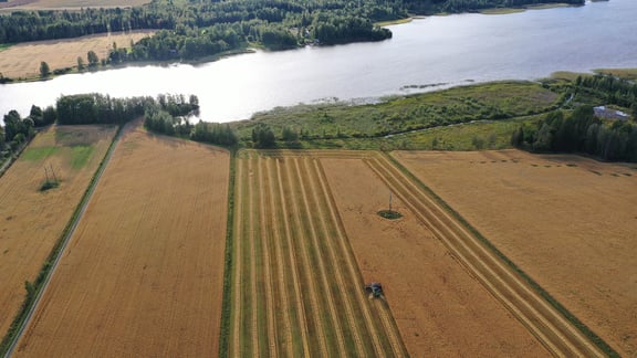 Ilmakuva Tommin pelloista.