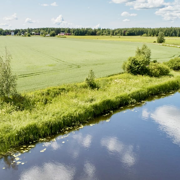 Pelto ja vesistö