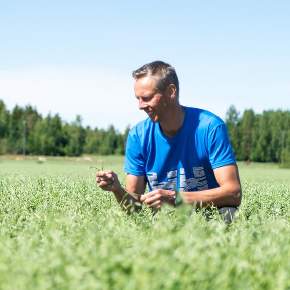 Mikko Hölsö pellolla