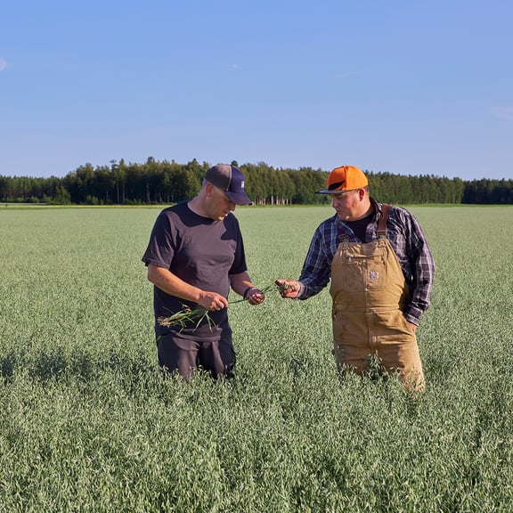 Farmers at the field