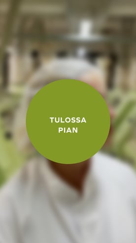 Mistä onnellisuus ponnistaa?
